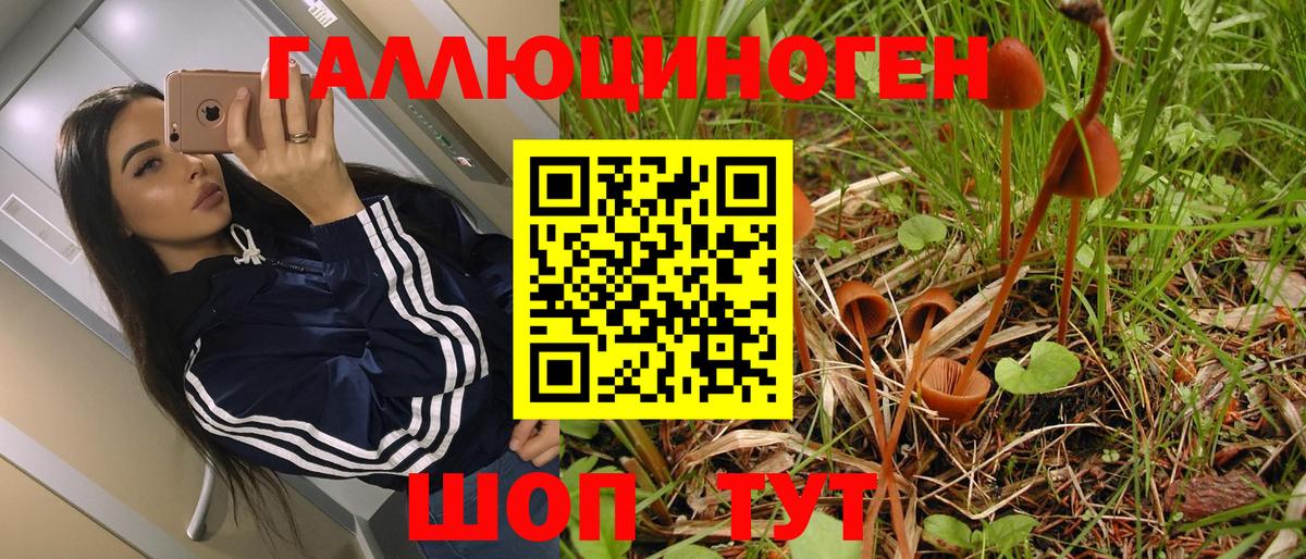 Галлюциногенные грибы мухоморы  Вход с VPN  Надым 